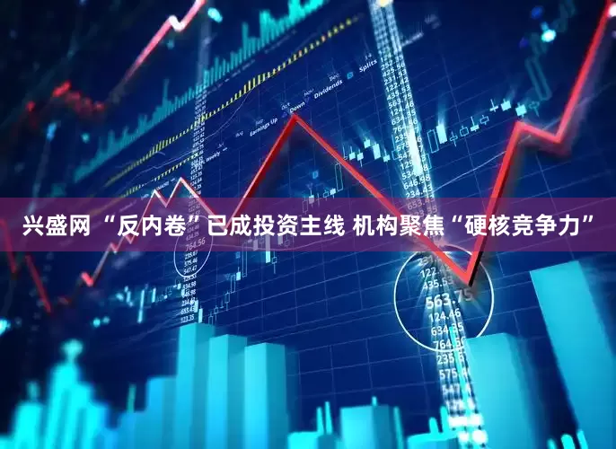 兴盛网 “反内卷”已成投资主线 机构聚焦“硬核竞争力”