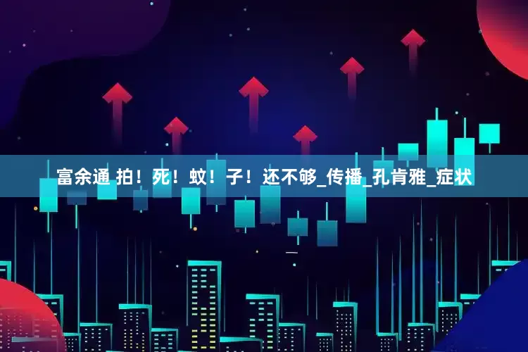富余通 拍！死！蚊！子！还不够_传播_孔肯雅_症状