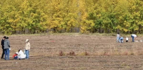 深圳配资 光明时评：挖土豆烤土豆，“下地干活式旅游”火了？